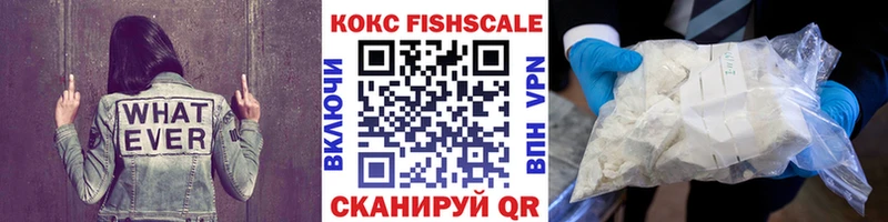 Купить закладки  Озёрск  COCAIN 97% 
