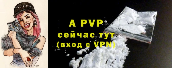 стаф Волосово