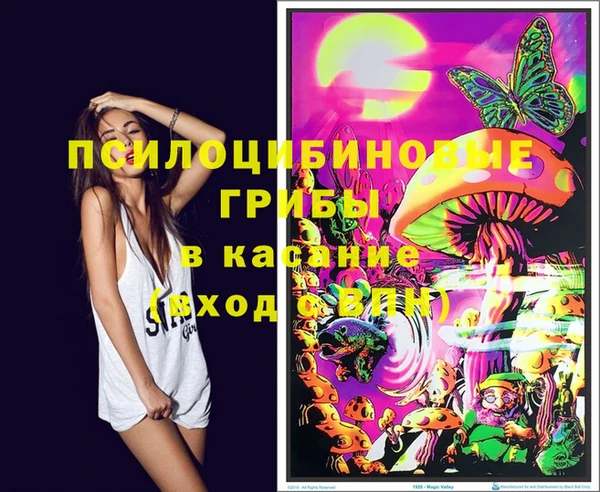 PSILOCYBIN Володарск