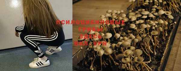 PSILOCYBIN Володарск