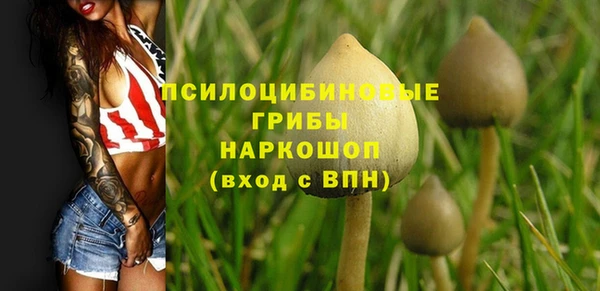 PSILOCYBIN Володарск