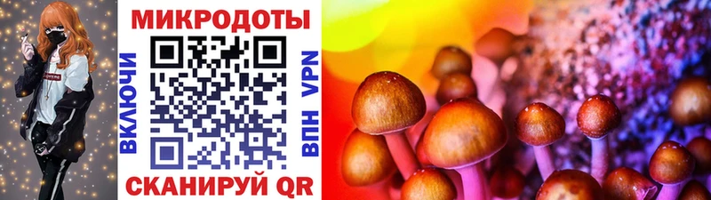 Галлюциногенные грибы MAGIC MUSHROOMS  Купить закладки  Озёрск 